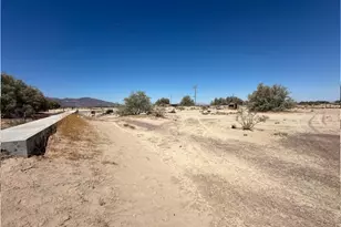 30453 Berry Rd, Newberry Springs, CA 92365 - Photo 6