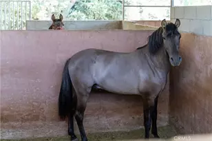 12605 Kagel Canyon Rd, Sylmar, CA 91342 - Photo 46