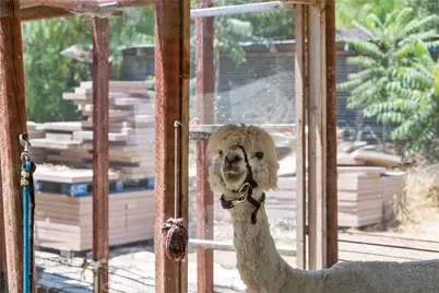 12605 Kagel Canyon Road, Sylmar, CA 91342 - Photo 42