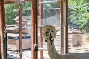 12605 Kagel Canyon Rd, Sylmar, CA 91342 - Photo 42