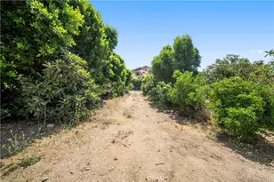 12605 Kagel Canyon Rd, Sylmar, CA 91342 - Photo 36