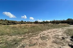 59880 Anzanita Ln, Anza, CA 92539 - Photo 6