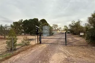 33979 Fremont Rd, Newberry Springs, CA 92365 - Photo 2