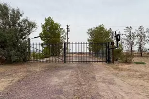 33979 Fremont Rd, Newberry Springs, CA 92365 - Photo 2