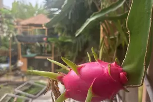 13925 Barnett Ln, Eastvale, CA 92880 - Photo 60