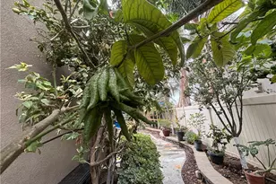 13925 Barnett Ln, Eastvale, CA 92880 - Photo 56