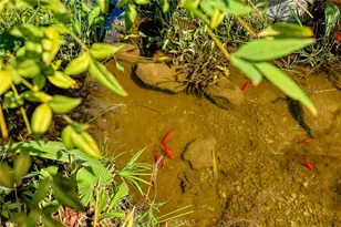 470 W Duarte, Arcadia, CA 91007 - Photo 34