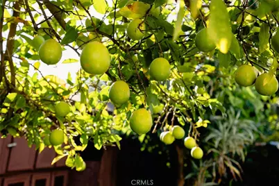 4607 Earle Avenue, Rosemead, CA 91770 - Photo 18