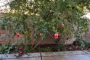 4863 S Bountiful Trail, Ontario, CA 91762 - Photo 16