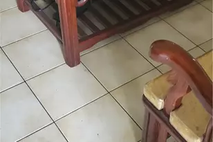 215 S Ave 19, Los Angeles, CA 90031 - Photo 4