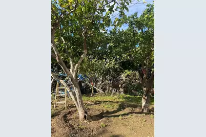 1129 N Alma Avenue, Los Angeles, CA 90063 - Photo 24