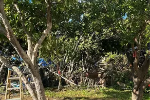 1129 N Alma Ave, Los Angeles, CA 90063 - Photo 24