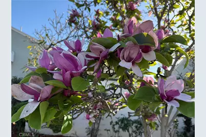 2001 Fernbank, Monterey Park, CA 91754 - Photo 6