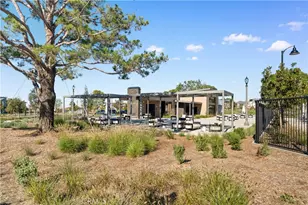 297 Shoveler, Irvine, CA 92618 - Photo 48