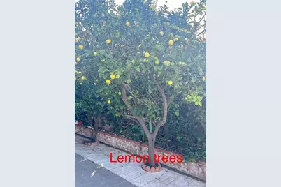 2202 Paso Real Avenue, Rowland Heights, CA 91748 - Photo 32