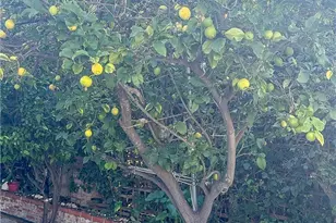 2202 Paso Real Ave, Rowland Heights, CA 91748 - Photo 32