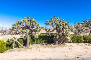 7411 Joshua Ln, Yucca Valley, CA 92284 - Photo 22