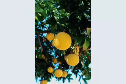 3817 Athol, Baldwin Park, CA 91706 - Photo 36