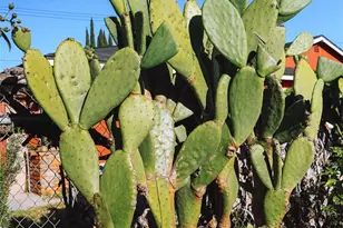 3817 Athol, Baldwin Park, CA 91706 - Photo 38