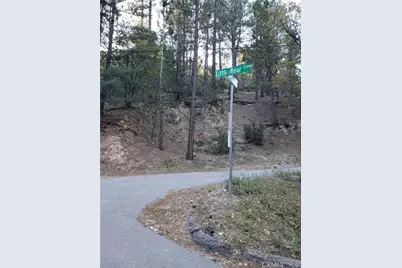 29531 Little Bear Creek Road, Cedar Glen, CA 92321 - Photo 10