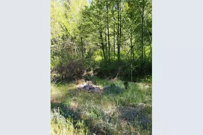 29531 Little Bear Creek Road, Cedar Glen, CA 92321 - Photo 2