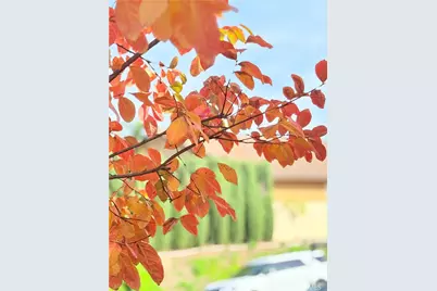 22141 Comanche, Lake Forest, CA 92630 - Photo 48