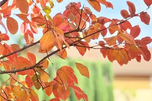 22141 Comanche, Lake Forest, CA 92630 - Photo 48