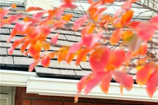 22141 Comanche, Lake Forest, CA 92630 - Photo 50