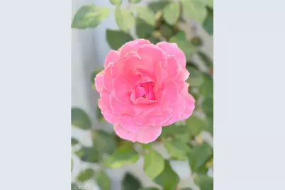 22141 Comanche, Lake Forest, CA 92630 - Photo 44