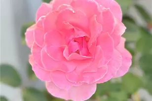 22141 Comanche, Lake Forest, CA 92630 - Photo 44