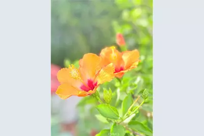 22141 Comanche, Lake Forest, CA 92630 - Photo 42