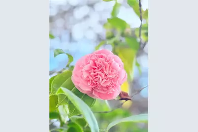 22141 Comanche, Lake Forest, CA 92630 - Photo 40