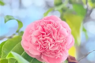 22141 Comanche, Lake Forest, CA 92630 - Photo 40