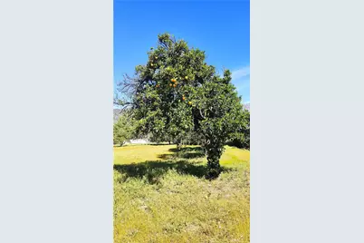 425 E 24th, Upland, CA 91784 - Photo 52