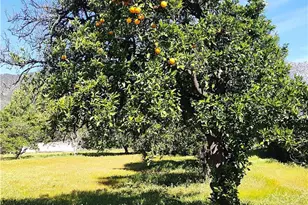 425 E 24th, Upland, CA 91784 - Photo 52