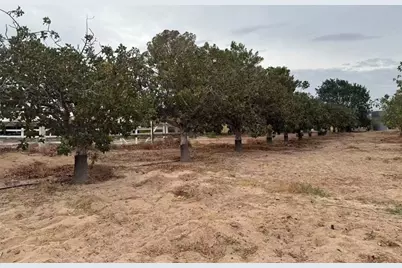 33979 Fremont Rd, Newberry Springs, CA 92365 - Photo 10