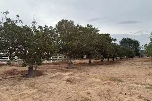 33979 Fremont Rd, Newberry Springs, CA 92365 - Photo 10