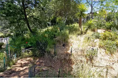 6561 Tokay, Tujunga, CA 91042 - Photo 30