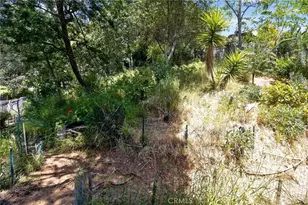 6561 Tokay, Tujunga, CA 91042 - Photo 30