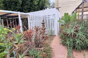 906 N Crescent Heights, Los Angeles, CA 90046 - Photo 12