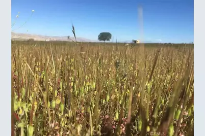 1900 Wasioja Road, New Cuyama, CA 93254 - Photo 2