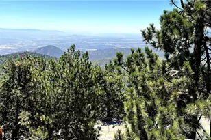 1834 Nob Hill, Running Springs, CA 92382 - Photo 44