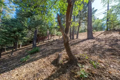 43326 Shasta Road, Big Bear Lake, CA 92315 - Photo 26