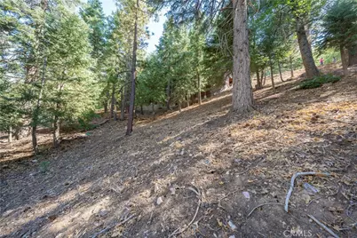 43326 Shasta Road, Big Bear Lake, CA 92315 - Photo 24