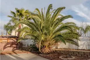 105 Galileo Ln, Perris, CA 92571 - Photo 70