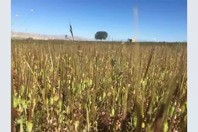 1900 Wasioja Road, New Cuyama, CA 93254 - Photo 2
