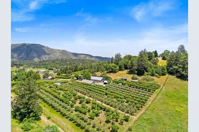 2645 Apple Lane, Julian, CA 92036 - Photo 1