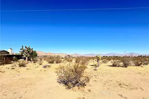 31340 Morningside St, Lucerne Valley, CA 92356 - Photo 1