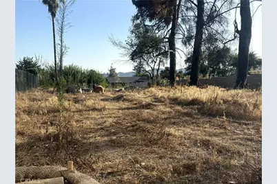 290 E Palm Street, Altadena, CA 91001 - Photo 1