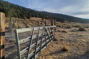 2750 Erwin Ranch Rd, Big Bear City, CA 92314 - Photo 1